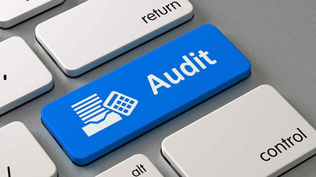 Financial audit services
